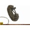 Браслет Survive Bear Grylls War